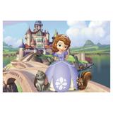Painel de festa Infantil Princesa Sofia 2.00m X 1.40m - Wrio
