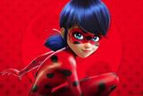 Painel de Festa Miraculous Ladybug 02 - Colormyhome