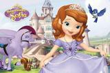 Painel de Festa Princesa Sofia 02 - Colormyhome