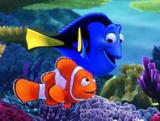 Painel de Festa Procurando Nemo 01 - Colormyhome