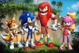 Painel de Festa Sonic Boom 02 - Colormyhome