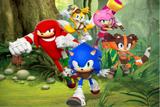 Painel de Festa Sonic Boom 05 - Colormyhome