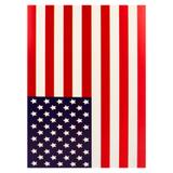 Painel Decorativo Bandeira USA - Festabox