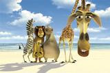 Painel decorativo Madagascar 150x100cm - X4adesivos