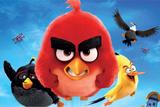 Painel Festa Angry Birds 150x100cm - X4adesivos