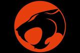 Painel Festa Thundercats 150x100cm - X4adesivos