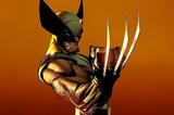 Painel Festa Wolverine 150x100cm - X4adesivos