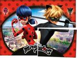 Painel LadyBug - Regina festas