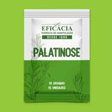 Palatinose 10 g - 15 sachês - 30
