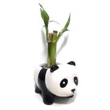 Panda em Cerâmica com Três Bambus da Sorte (Lucky Bamboo) - Relaxar e meditar