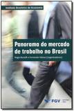 Panorama do Mercado de Trabalho no Brasil - Fgv