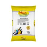 Papa De Ovo Vermelha Sellecta 5 Kg