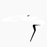 Par De Adesivos Aletas Asa Aba crf 230 Biker F-19 Crf230 - Take