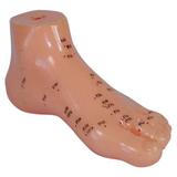 Pé Acupuntura com 13 cm em PVC - Coleman