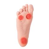 Pé Diabético Modelo Avançado - Anatomic