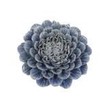 Peça decorativa de mesa em ceramica - flor azul - Btc decor