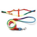 Peitoral com Guia para Cachorro Petpop BTJP032 Multicolor