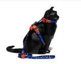 Peitoral Com Guia Para Gatos Atlanta ( Tamanho Unico ) - Zee Cat - Zee dog