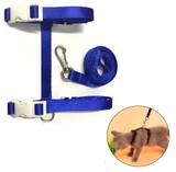 Peitoral Com Guia Para Gatos PET G Varias Cores Ajustável - Rb