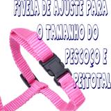 Peitoral Com Guia Para Gatos PET M Varias Cores Ajustavel - Rb