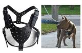 Peitoral Couro Com Spikes Para Pitbull E Outros Caes - Pet import