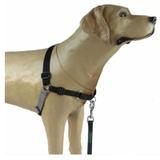 Peitoral de Treinamento K-9 TAM P PRETO - K-9 spirit