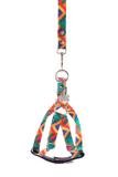 Peitoral e guia cg europa p - multicolor - Gr pet