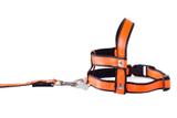 Peitoral e guia cg neon pp - laranja - Gr pet