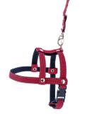 Peitoral e guia duo g - vermelho - Gr pet