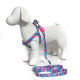 Peitoral e Guia para cachorros - Tamanho Grande - Modelo Flores - Petzoo