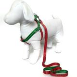 Peitoral e Guia para cachorros - Tamanho Grande - Modelo Melancia - Petzoo