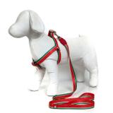 Peitoral e Guia para cachorros - Tamanho Médio - Modelo Melancia - Petzoo