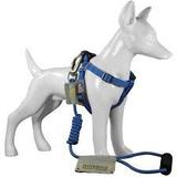 Peitoral e Guia Para Cães G - Au! Store Azul - Au store