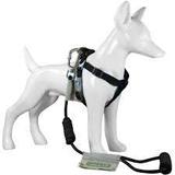 Peitoral e Guia Para Cães M - Au! Store Preto - Au store