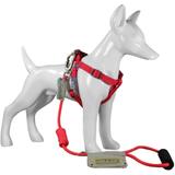Peitoral e Guia Para Cães P - Au! Store Vermelho - Au store