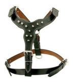 Peitoral Em Couro Pitbull American Bully Caes Spikes - Pet import