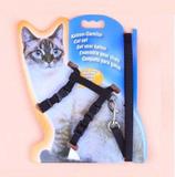 Peitoral + Guia Gato Kimhome - Pet import