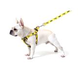 Peitoral para cachorro batman eg. :7899783924145 - Sula pet