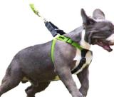 Peitoral para cachorro One Dog - Preto e Verde - Tamanho G