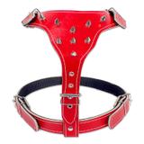 Peitoral Para Pit Bull Rottweiler Bull Terrier Vermelho - Couro dog