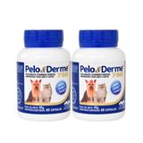 Pelo e Derme 750 60 cápsulas KIT 2 unid Vetnil