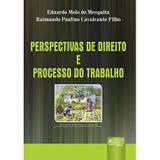 Perspectivas de Direito e Processo do Trabalho - Encadernação Especial - Juruá
