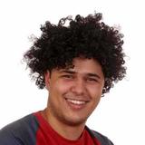 Peruca Black Power para Festa - Festabox
