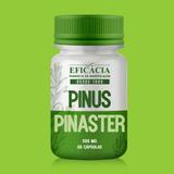 Pinus Pinaster 50mg - 60 caps - 30