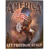 Placa De Metal America Aguia Da Liberdade - Versare anos dourados