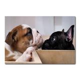 Placa Decorativa - Cachorros - 1267plmk - Allodi