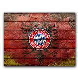 Placa Decorativa MDF Ambientes 20 cm x 30 cm - Bayern de Munich (BD02) - Skin t18