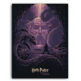 Placa Decorativa MDF Ambientes 30 cm x 20 cm - Harry Potter e a Câmara Secreta (BD63) - Bd net collections