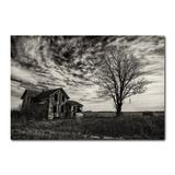 Placa Decorativa - Natureza - 1134plmk - Allodi