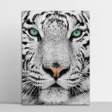 Placa Decorativa Tigre 30X40Cm - Artplex